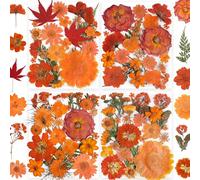YouthBro Fiori Pressati Secchi Arancia con Adesivi a Farfalla - Fiori Veri Naturali Set di Erbe per Resina Gioielli Fai Da Te Candele Vasi di Sapone Creazione di Carte