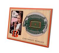 Youthefan NFL Cincinnati Bengals 3D StadiumViews Frame