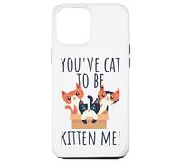 You've Cat To Be Kitten Me Gatto Che Dice Miao Gatto Custodia per iPhone 12 Pro Max