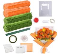 YOUYIKE Tulipano, set di pulizia per pipa, tulipano, per fai da te, con bastoncini di fiori verdi, rotoli di nastro, biglietti di auguri, confezioni di bouquet, nastri, strisce luminose, ecc