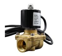 YPEZASDLW 1 pz DC24V AC220V elettrovalvola Impermeabile valvola Acqua 1/2" 3/4" 1" 2" normalmente Chiusa AC DC IP68(DC24V-VITON,0.5 inch)