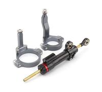 YPLVWSOYQ Stabilizzatore Staffa Compatibile con per ZX-4RR 2023 Ammortizzatore di Sterzo per Moto Ammortizzatore di Sterzo per Moto Ammortizzatore per Moto Stabilizzatore(Silver,C)