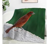 Ypthriline Uccello rosso Coperta, Stile naturale Coperta in Flanella di Microfibra 150×200 CM, Leggera, Morbida, Comoda e Calda, Adatto per Divan e Letti
