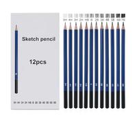 YPYMOD 12 pezzi Matita in Grafite, Professionali Set di Matite Da Disegno e Schizzi Artistico per Artisti Professionale, Principianti, Studenti, 5H 4H 3H 2H HB B 2B 3B 4B 5B 6B 8B(blu)