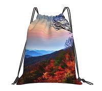 YQxwJL Blue Ridge, borsa da nuoto per adulti, borsa da palestra con coulisse stampata delle montagne, borsa sportiva impermeabile per uomo e donna, bianca, taglia unica, bianco, taglia unica, bianco,