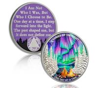 YRCKUDZKG Guided by Northern Lights - Moneta per 3 anni di sobrietà - Moneta AA One Day at a Time, chip di recupero di tre anni senza alcool, con capsula token, regali di sobrietà per uomini e donne