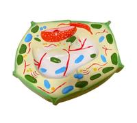 YRQMGSF Modello di Cellula Vegetale 3D Modello Anatomico della Cellula Vegetale Modello Anatomico Ingrandito della Pianta per l'Insegnamento della Biologia