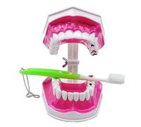 YRQMGSF Modello di Denti Grandi 2 Volte con Spazzolino - Modello Dentale per Insegnamento della Spazzolatura - Modello di Denti per la Pulizia delle Carie