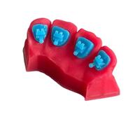 YRQMGSF Modello di Denti Ortodontico Dentale, Modello di Comunicazione con Il Paziente Ortodontico Stampato in 3D, per Studenti di Odontoiatria e Ortodontisti