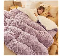 YRRA Trapunta Invernale, Coperta in Cashmere, Coperta Pesante per Letto, Piumino Matrimoniale Invernale Caldo, Coperta per Biancheria da Letto Domestica,Viola,200x230cm(5kg)