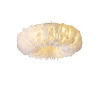 YRYRYW Lampaccia di Piuma di Piuma Bianca per Le Ragazze Camera da Letto, soffitto di Decorazioni romantiche Calde, apparecchi di Illuminazione a LED di Piume Durante la Luce appesa alla Luce per la