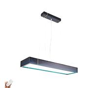 YRYRYW per Il Ristorante Tea Room Studio Bar Tavolo da Pranzo, lampadario Blu Marino di Log, Ufficio a Legno Nordico a LED Long lampadario-No Aurora sconvolto 60 * 20 * 8cm Household faucets