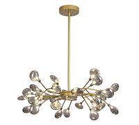 YRYRYW Ramo a LED a 54 luci Durante la Luce del soffitto Appeso al Interno Regolabile con tonalità di Vetro per Soggiorno, lampadario Nordic Firefly Sputnik-Gold e Smoke Grey Glass Paphade 30 Testa