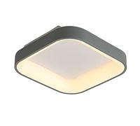 YRYRYW Remote-Controlled LED Ceiling Light Nordic Energy-Saving Light Fixtures for Near Ceiling Mount Household faucets