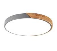 YRYRYW Remote-Controlled LED Ceiling Light Nordic Energy-Saving Light Fixtures for Near Ceiling Mount Household faucets