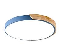 YRYRYW Remote-Controlled LED Ceiling Light Nordic Energy-Saving Light Fixtures for Near Ceiling Mount Household faucets