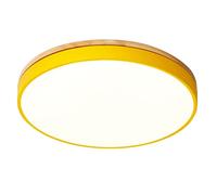 YRYRYW Slim Minimalist Ceiling Light 3000K-6000K Round Flush Mounted LED Light for Living Room Kitchen Household faucets