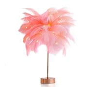 YRYRYW Telescope LED Desk Lamp Feather Lamp Pink Table Lamp for Bedroom Bedside Lamp Wedding Birthday Vintage Deco Desk Light Metal Lamp Base Table Lamp Reading Lamp Telescope Household faucets