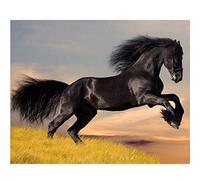 YSCOLOR Diamond Painting 5D Diy Pittura Diamante Pieno Rotondo Perline Ricamo Cavallo Nero Diamante Mosaico Strass Immagine Punto Croce Animale Decorazioni Per La Casa 30X40cm