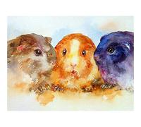 YSCOLOR Diamond Painting Diamante Mosaico Carino Guinea Pig Pittura Diamante Punto Croce Animale Diamante Ricamo Pietre Rotonde Piene Display Art Crafts 30X40Cm
