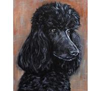 YSCOLOR Diamond Painting Kit Di Pittura Diamante 5D Per Adulti E Bambini Simpatico Barboncino Nero Trapano Completo Diamante Rotondo Art 30x40cm