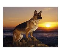 YSCOLOR Diamond Painting Pastore Tedesco Diamante Pittura Completa Rotonda Pietra Di Cane Diamante Ricamo Strass Fai Da Te Hobby Cucitura Pittura Arte 30X40Cm