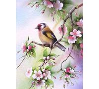 YSCOLOR Diamond Painting Perla Ricamo Diamante Uccelli Fiori 5D Pittura Diamante Completa Diamond 2019 Immagine Strass Kit Punto Croce 30X40cm