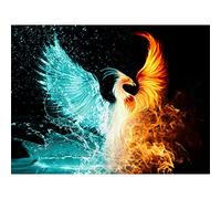YSCOLOR Diamond Painting Pittura Diamante Acqua E Fuoco Phoenix DIY Pittura Diamante Punto Croce Ricamo Decorativo Domestico Cinese Tradizionale Phoenix 30X40Cm