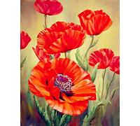 YSCOLOR Diamond Painting Pittura Diamante Diamante Pieno Manuale Diamante 2019 Papaveri Fiori Immagine Cucito Punto Croce Prodotti per La Casa 5D Artigianato DIY Diamante 30X40cm
