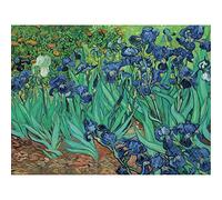 YSCOLOR Diamond Painting Ricamo Diamante Rotondo Pieno Van Gogh Iris Diamante 5D Mosaico Punto Croce Picutre di Strass Decorazioni per La Casa Regalo di Natale 30X40Cm