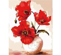 YSCOLOR Fiore Di Papavero Rosso Fai Da Te Dipingere Con I Numeri Kit Per Adulti Pittura A Olio Arti Mestieri Per La Decorazione Della Parete Di Casa 40X50cm