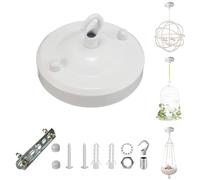 YSGUYILT Rosone Lampadario Soffitto Metallo Bianco Lampada a Piastra a Gancio per Sospensione,La Decorazione Della Lampada Lamp,Piante da Appendere,Cesto Pensile per Gatti-(1 Pezzo)