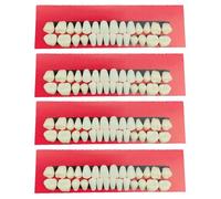 YSJCHEBS Confezione da 4 Modelli Dentali in Plastica, Sussidi Didattici Dentali, Esercizi per La Bocca Dentale, Oggetti di Scena per Giochi di Ruolo