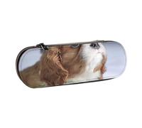 YsoLda Astuccio per matite, astuccio per penne Astuccio portatile in pelle per ufficio scolastico, faccia di Cavalier King Charles Spaniel