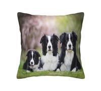 YsoLda Federa per cuscino, federa decorativa per cuscino morbido 40x40 cm per divano camera da letto, famiglia Border Collie
