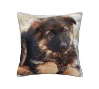 YsoLda Federa per cuscino, federa decorativa per cuscino morbido 45x45 cm per divano della camera da letto, stampa di cuccioli di pastore tedesco
