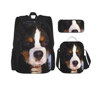 YsoLda Set zaino, borsa per la scuola, zaino, set da 3 pezzi, con borsa per il pranzo, astuccio,Bovaro del Bernese