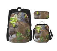 YsoLda Set zaino, borsa per la scuola, zaino, set da 3 pezzi, con borsa per il pranzo, astuccio,Puma