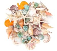 YSWOVUO 10 Tipi Conchiglie Marine Miste e 3 Tipi Stelle Marine, Conchiglie Naturali per Spiaggia, Conchiglia a Spirale Perline Non Forate, Conchiglie Decorative per Riempitivi di Vaso Feste Acquario