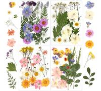 YSWOVUO 90 Pezzi Fiori Secchi Naturali, Misti Pressati Fiori Secchi Set, Fai Da Te Fiori Secchi Decorativi per Resina Candele Unghie Scrapbooking Artigianato