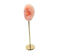 YsXoWiui Elegante Espositore per Orecchini E Accessori per Le Orecchie.