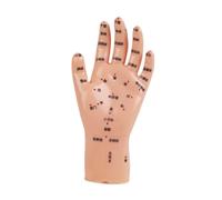 YsXoWiui Modello a Mano di Dimensioni per Bambini per Lo Studio di Agopuntura E L'uso Educativo, 16x8 Cm