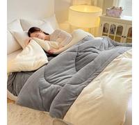 YSZBD Coperta Matrimoniale Invernale Morbidosa Trapunte Invernali Piazza E Mezza Piumoni Singoli/Matrimoniali Piumone 4 Stagioni (#2,180x220cm-2kg)