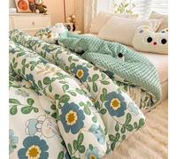 YSZBD Coperta Matrimoniale Invernale Morbidosa Trapunte Invernali Piazza E Mezza Stampa A Colori Trapunta Invernale in Peluche(#10,150x200cm-3kg)