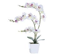 YSZL Orchidea artificiale in vaso, alta orchidea artificiale in vaso di ceramica, orchidee alte in seta con steli, aspetto reale, decorazione da tavolo per la casa e interni, bianca