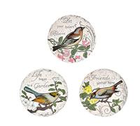 YTBHSHXZ, 3 Pietre Rotonde tridimensionali for vialetti con Stampe di Farfalle, Animali o Uccelli, Divertenti e Carine for gradini da Giardino.(Birds,24 cm)