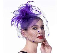 YTBHSHXZ， Cappello da donna con fasce in rete e piume, fascia for capelli, fermaglio for capelli, copricapo da cocktail e tè.(GN)