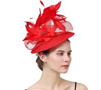 YTBHSHXZ， Copricapo da sposa, da festa, da chiesa, con piume, accessori for capelli(Purple)