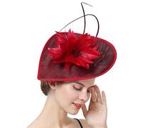 YTBHSHXZ， Copricapo da sposa, da sposa, da sposa, da donna, con fermaglio for capelli, piume for capelli, accessori(Marron)