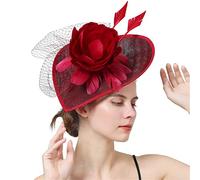 YTBHSHXZ, Velo da donna, cappello, fascinator, copricapo for eventi, matrimonio, festa, chiesa, accessori for capelli con piume(Pink)